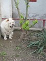 20040418_ 016